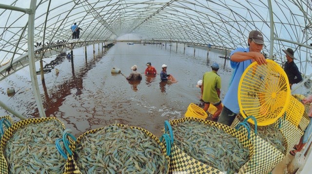 Đồng bằng sông Cửu Long: biến thách thức thành cơ hội (5/9/2018)